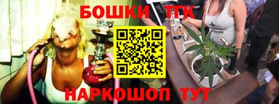 индика Мариинск