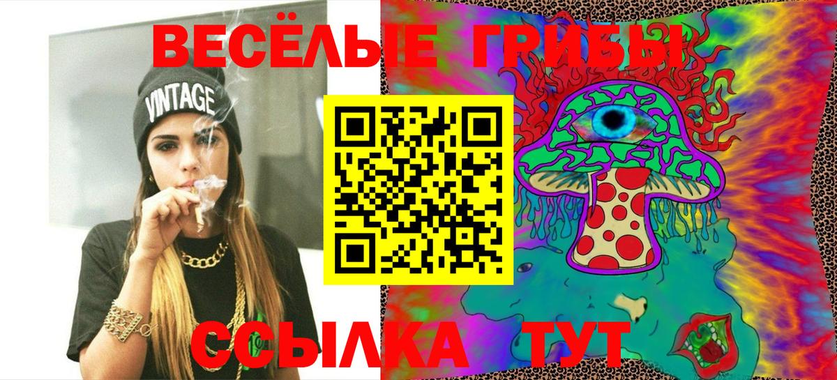 Галлюциногенные грибы GOLDEN TEACHER  Вход с VPN  Чебоксары 