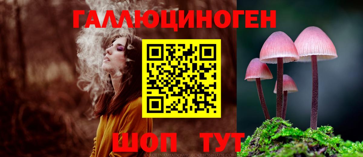 Псилоцибиновые грибы Cubensis Чебоксары